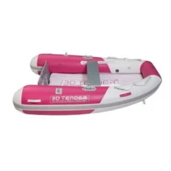 ANNEXE 3D TENDER TWIN FASTCAT 330 10 ANNEXE 3D TENDER TWIN FASTCAT 330 -Intex Gonflable Soldes annexe 3d tender twin fastcat 330 2